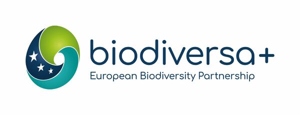 Ogłoszenie pierwszego konkursu Europejskiego Partnerstwa na rzecz Bioróżnorodności - BiodivERsA+